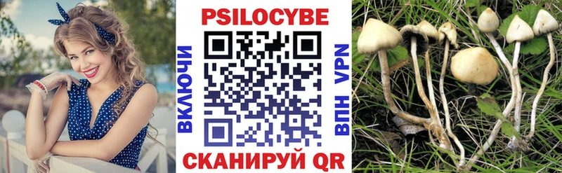 mega онион  Дубна  Галлюциногенные грибы мухоморы  дарнет шоп 