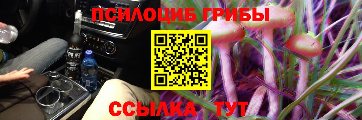 Галлюциногенные грибы GOLDEN TEACHER Дубна